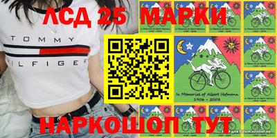спиды Бердск