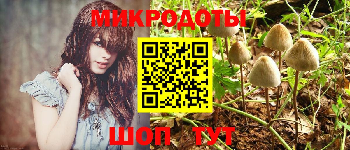 Псилоцибиновые грибы MAGIC MUSHROOMS Белая Калитва